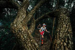 BIB: 
                            <button type="button" onclick="openModal(25699085)" class="btn btn-primary btn-sm float-right btn-popup" data-toggle="modal" data-target=".modal-high-quality">
                        <i class="fas fa-shopping-cart"></i> Add to Cart
                    </button>
                                            <button type="button" onclick="isThisMe(25699085, true)" class="btn btn-success btn-sm float-right btn-popup btn-isme hidden" data-toggle="tooltip" data-placement="bottom" title="นี่คือรูปของคุณใช่ไหม คลิกที่นี่เพื่อเอาเข้าอัลบั้ม">
                        <i class="fas fa-plus"></i> Add to album
                    </button>
                    <button type="button" onclick="isThisMe(25699085, false)" class="btn btn-warning btn-sm float-right btn-popup btn-isnotme hidden">
                        <i class="fas fa-ban"></i> Remove from album
                    </button>